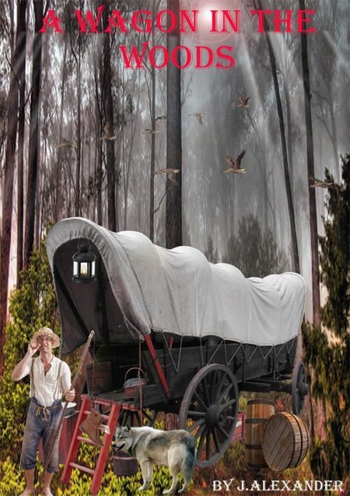 A-Wagon-In-The-Woods-1-500x708 A-Wagon-In-The-Woods-1-500x708
